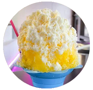 Cactus Cooler shave ice